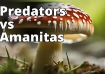 Amanita Mushroom Predation: How To Safeguard Your Garden Ecosystem