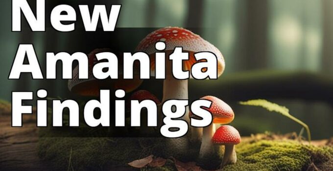 The Featured Image For This Article Could Be A High-Quality Photo Of A Group Of Amanita Mushrooms In