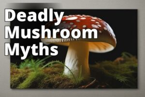 Amanita Mushroom Myths Debunked: Get The Facts Straight