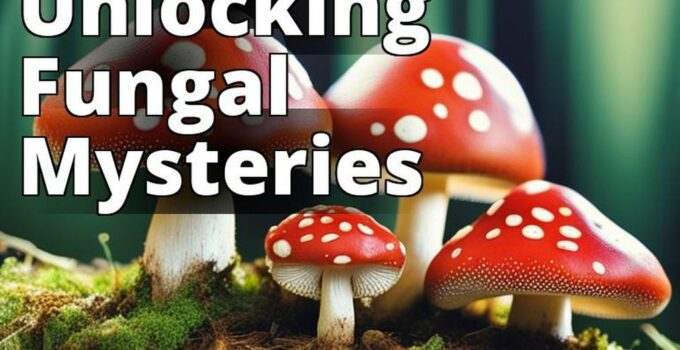 The Featured Image For This Article Could Be A High-Quality Photograph Of Amanita Mushrooms In Their