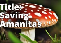 Amanita Mushroom Conservation: Why It Matters And How You Can Help