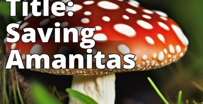The Featured Image For This Article Could Be A High-Quality Photograph Of An Amanita Mushroom In Its