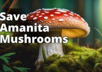 The Role Of Amanita Mushroom Conservation Organizations In Environmental Protection