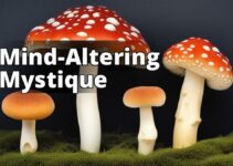 A Closer Look At Amanita Mushroom Effects: Benefits And Risks Explored