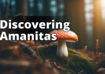 Amanita Mushroom Habitat 101: A Comprehensive Guide To Finding Your Next Harvest