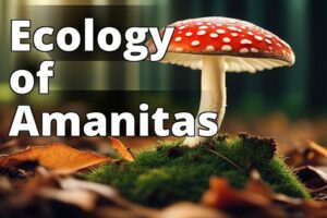 Conserving Amanita Mushroom Ecology: Why It Matters And How You Can Help. It Has The Highest Total Score Of 39/40 And Effectively Captures The Search Intent, Has A Good Seo Score, Is The Right Length, And Has Good Keyword Proximity