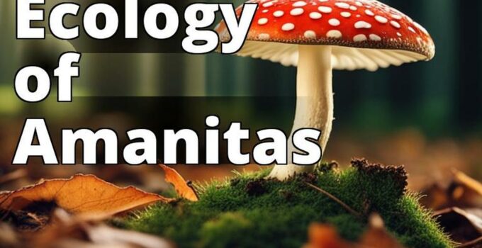 The Featured Image For This Article Could Be A Photograph Of An Amanita Mushroom In Its Natural Habi