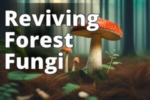 Amanita Mushroom Restoration: Overcoming Challenges And Seizing Opportunities