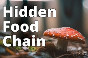 From Ecosystem To Plate: The Role Of Amanita Mushrooms In The Food Chain