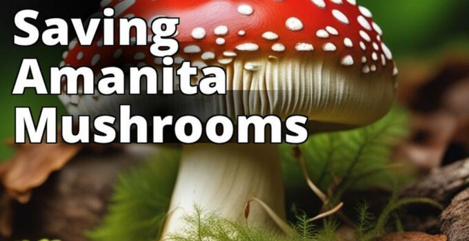 The Featured Image For This Article Could Be A Picture Of An Amanita Mushroom In Its Natural Habitat