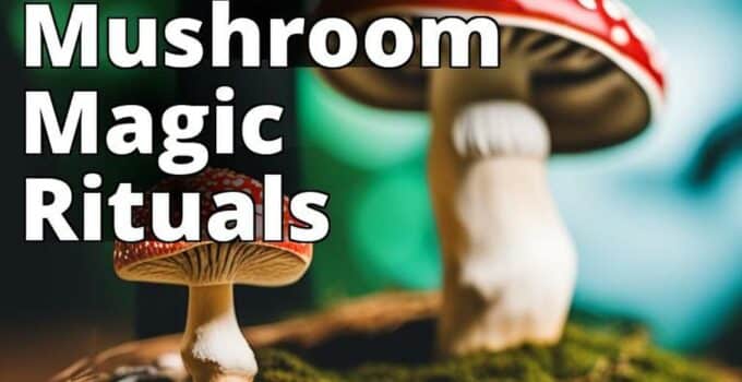 The Featured Image For This Article Outline Could Be A Photograph Of Amanita Mushrooms Or A Traditio