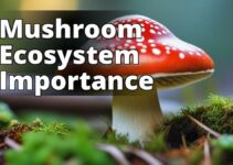 Amanita Mushroom Trophic Levels: A Key Player In Sustainable Food Chains
