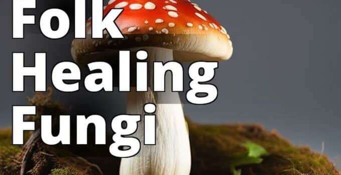 The Featured Image For This Article Should Be A High-Quality Photo Of Amanita Mushrooms In Their Nat