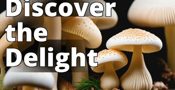 The Featured Image For This Article Should Be A High-Quality Photograph Of Amanita Mushroom Caps