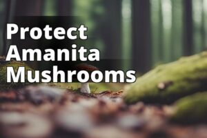Endangered Amanita Mushroom: Why We Must Act Now To Protect Them