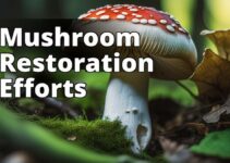 Amanita Mushroom Restoration: The Sustainable Solution To Ecosystem Preservation