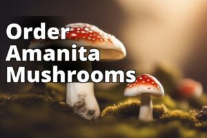 Amanita Mushrooms: Order Safely And Reap The Health Benefits