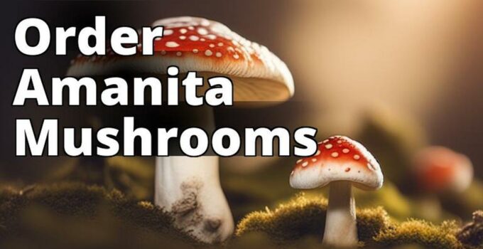 The Featured Image Should Be A Close-Up Of A Variety Of Amanita Mushrooms