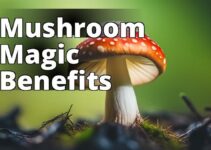 A Comprehensive Guide To The Various Amanita Mushroom Uses For Health