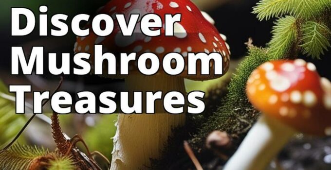 The Featured Image Should Be A High-Quality Photograph Of Amanita Mushrooms Growing In Their Natural