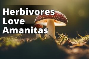 Amanita Mushrooms And Herbivores: A Complex Coevolutionary Relationship