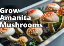 From Seed To Harvest: A Beginner’S Guide To Amanita Mushroom Cultivation