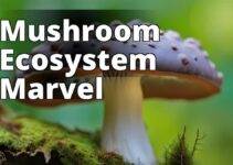 Habitat Preservation And Conservation Of Amanita Mushroom Ecosystem: A Critical Need
