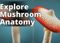 The Role Of Amanita Mushroom Anatomy In Identifying Poisonous Species