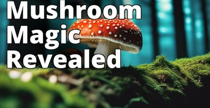 The Featured Image Should Contain A High-Quality Photograph Of An Amanita Mushroom In Its Natural Ha