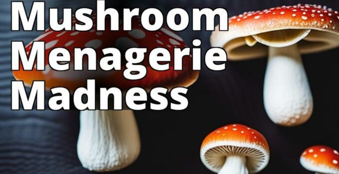 The Featured Image Should Show A Variety Of Amanita Mushrooms